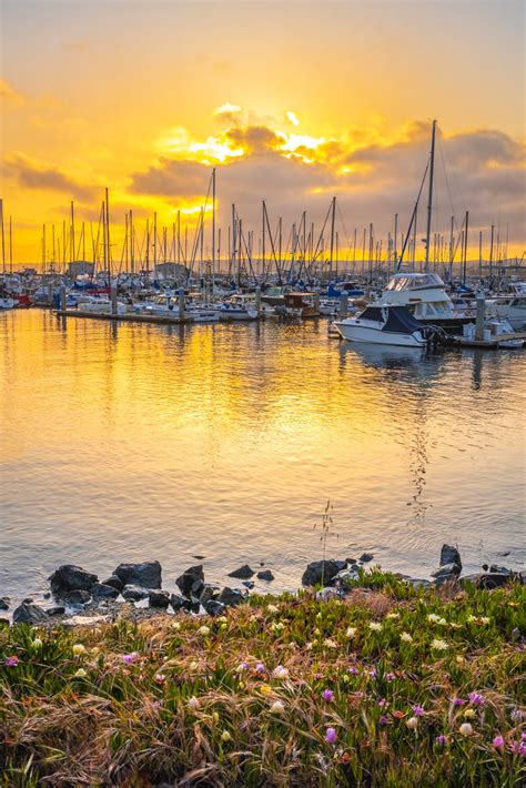 Monterey Bay Harbor Marina Dawn Sunrise Ships In Dock Sailboats Fine