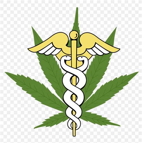 Get your oklahoma medical marijuana card online in minutes. Medical Cannabis Medicine Medical Marijuana Card Legality Of Cannabis, PNG, 978x986px, Medical ...