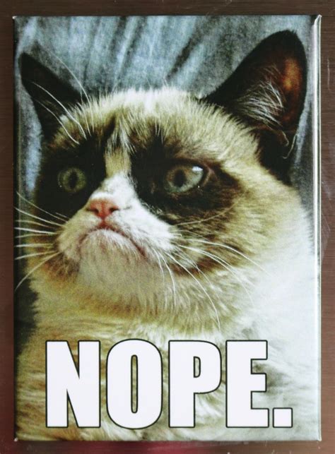 Grumpy Cat Nope Fridge Magnet Funny Cat Meme Comedy Atam The Wild Robot