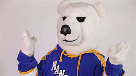 Happy Mascot S  By University Of Alaska Fairbanks Find And Share