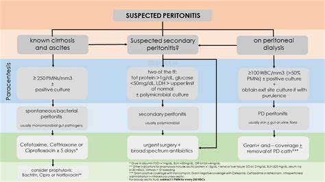 Algorithm In Suspected Bacterial Peritonitis Infographic Grepmed