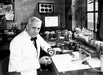 Grandes científicos: Alexander Fleming, el padre de la penicilina ...