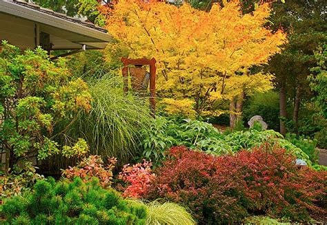 The leaves are a deep green during the summer and turn to bright. 31 best Deer Resistant Landscaping, Maryland, Zone 7 ...