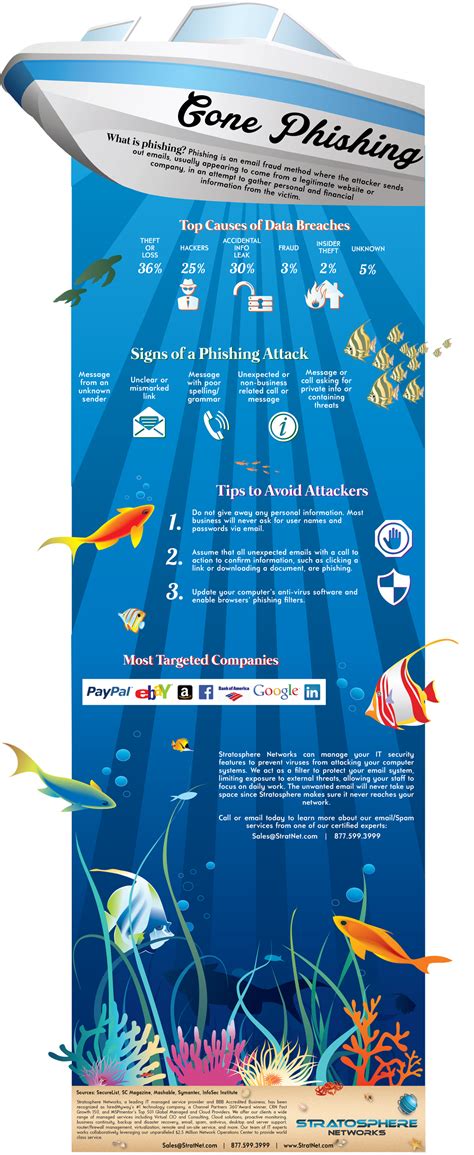 Phishing infographic | Infographic, Training and ...