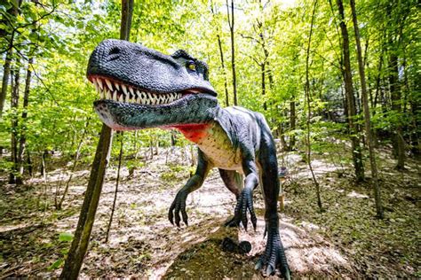 Lake George Expedition Park Explore Dino Roar Valley And Magic Forest