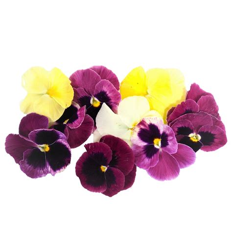 Fresh edible flowers all departments alexa skills amazon devices amazon global store amazon pantry amazon warehouse deals apps & games baby beauty books car & motorbike cds & vinyl classical music clothing. Buy Edible Pansy Flowers Online UK | Pansies, Flowers ...