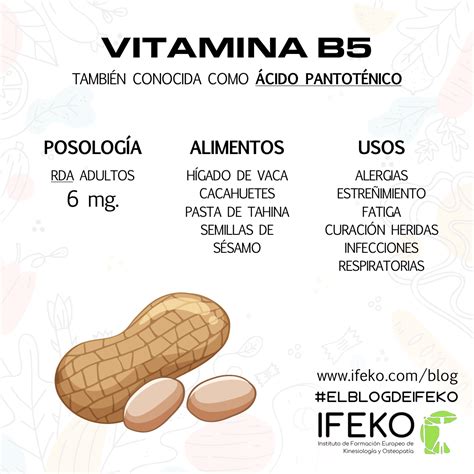 Vitamina B5 O Ácido Pantoténico Ficha Completa Ifeko