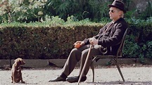 Il Padrino: Epilogo - La morte di Michael Corleone - Film (2020 ...