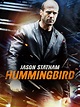 Prime Video: Hummingbird