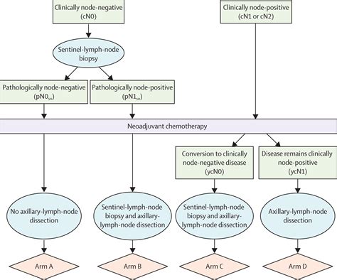 References In Sentinel Lymph Node Biopsy In Patients With Breast Cancer