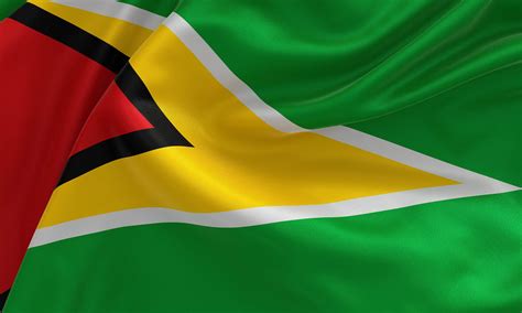 The Flag Of Guyana History Meaning And Symbolism A Z Animals