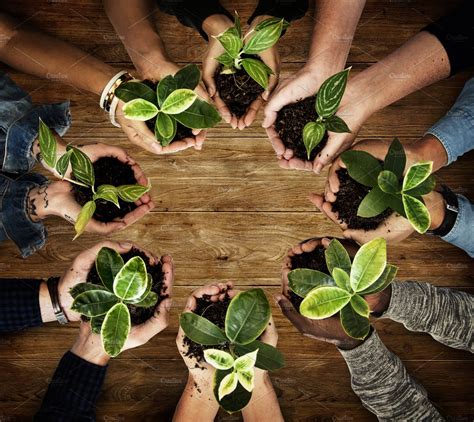 Hands Holding Plants Featuring Plant Person And Relax People Images