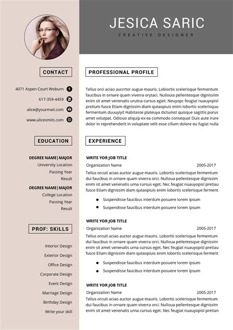 Download Functional Resume Template Microsoft Word Addictionary