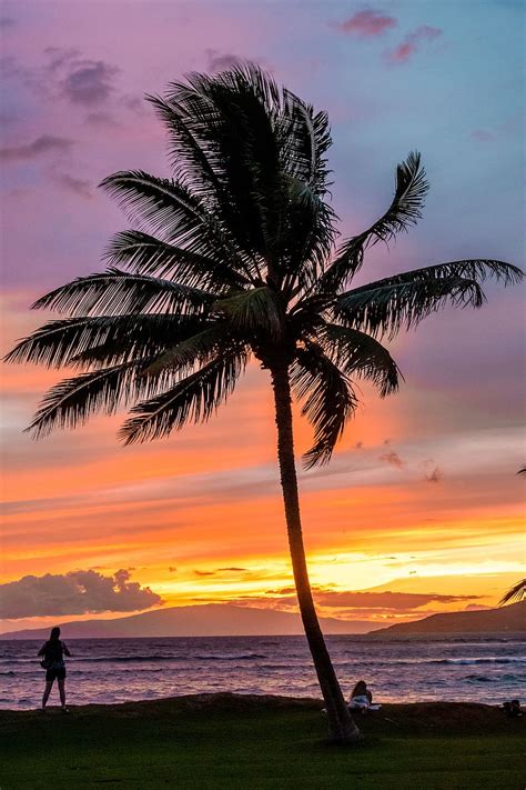 Maui Hawaii Beach Landscape Nature Island Tropical Ocean Sunset Sky Pxfuel