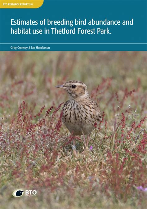 Estimates Of Breeding Bird Abundance And Habitat Use In Thetford Forest