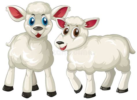 Two Cute Lambs Standing Stock Vector Illustration Of Character 89443421