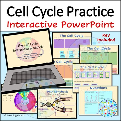 Cell Cycle Mitosis Interactive Powerpoint Made By Teachers