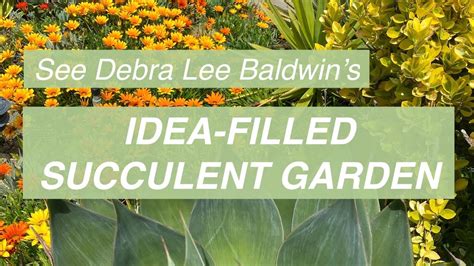See Debra Lee Baldwins Own Idea Filled Succulent Garden Youtube