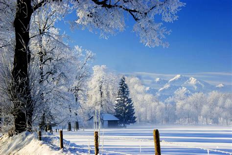 Зимний Пейзаж Фото Высокого Качества Telegraph