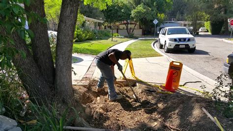 How To Remove Tree Roots Below Your Concrete Slab Before You Pour