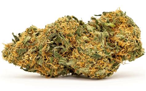 Vanilla Kush Strain Review The Lodge Cannabis Denver