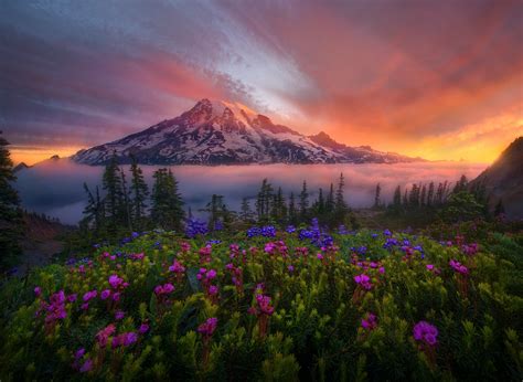 A Day In The Life Of Landscape Photographer Marc Adamus 500px