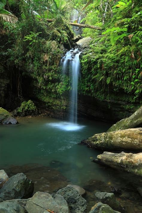 The Most Beautiful Waterfalls In Puerto Rico Puerto Rico Trip El