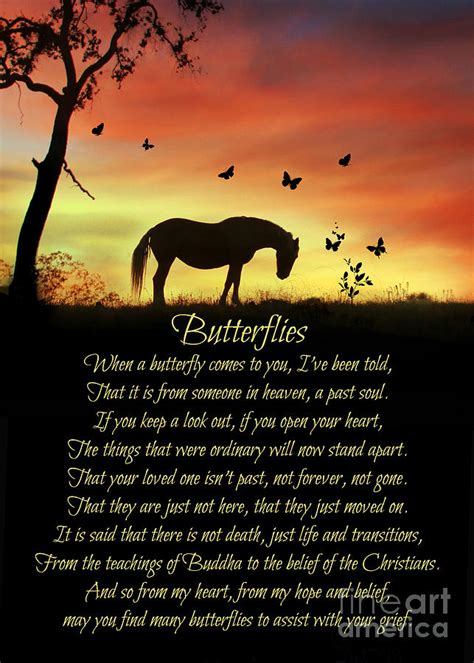 Butterflies Horse And Butterfly Original Poem Horse Sympathy
