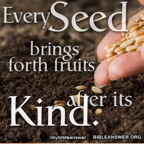 Pin By Bible Answer On Daily Bible Quotes Seeds Sowing Bible Answers