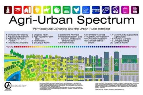 Urban Geographies Cities Places Regions Photo