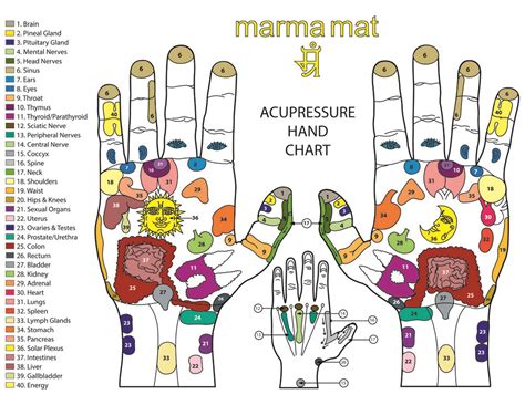 Powerful Mudras And Their Meanings In Mudras Yoga Hands Sexiz Pix