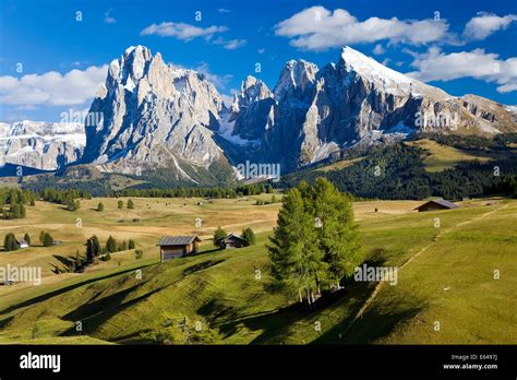 Italy Italia Trentino Alto Adige South Tyrol Bolzano District Alpe Di