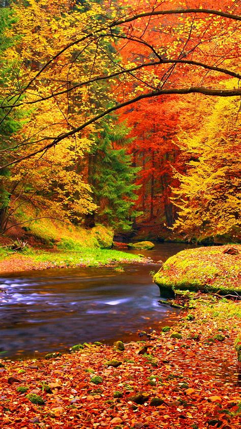 1920x1080px 1080p Free Download Autumn Scenery Bonito Nature