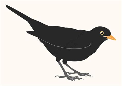 Instant Digital Download Original Illustration Of A Blackbird By