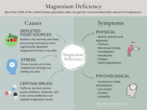 Signs And Symptoms Of Magnesium Deficiency A Doctors Perspective