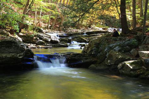 Filemeditation Beautiful Autumn Forest Waterfall West