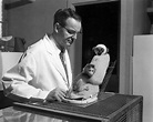How Harry Harlow Used Monkeys For Bizarre ‘Love’ Experiments