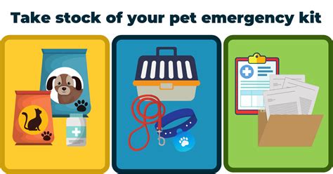 What Is A Pet Emergency Plan Why Its Important Comfy Cozy Pet