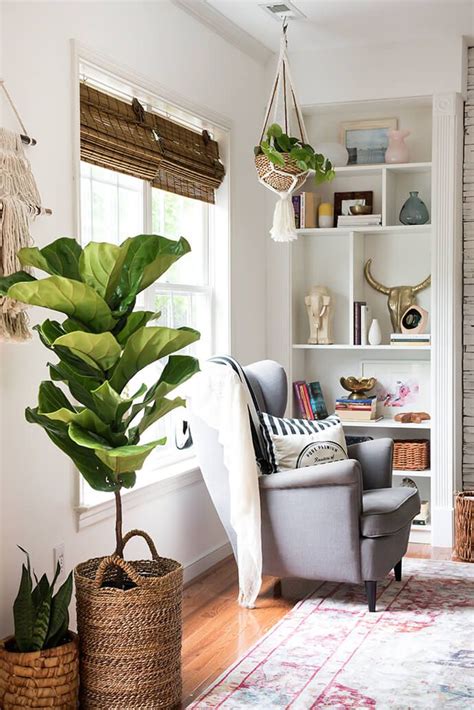 These large indoor plants can improve air quality and give you a lush we rounded up low light indoor trees, indoor palm trees, and fig trees for you to choose for your next room revamp. Step Inside The Creative, Handmade Home Of Aniko Levai ...
