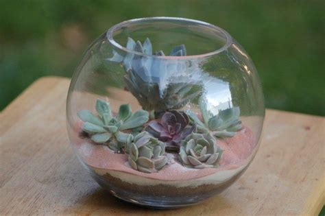 How To Make Your Own Succulent Terrarium Centerpieces On Offbeat Wed