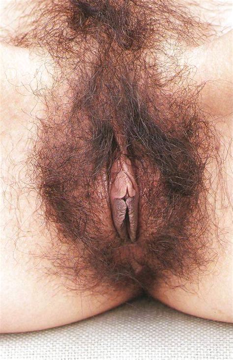 Blackiest Long Hairy Vagina Datawav