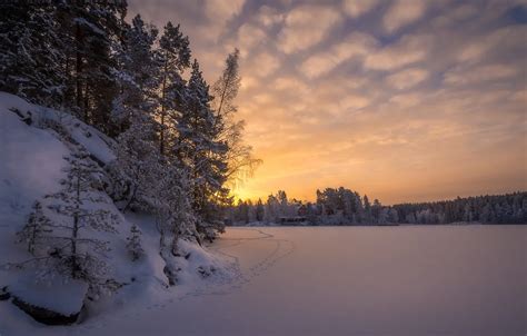 Обои зима лес снег деревья следы рассвет утро Финляндия Finland