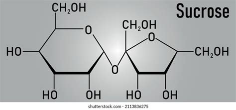 Sucrose Sugar Molecule Known Table Sugar Stock Vector Royalty Free