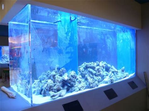 Extra Large Aquariums Huge Aquariums Big Fish Tanks Cool Fish