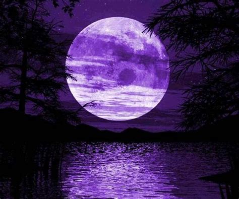 Фото Фиолетовый Луны Telegraph