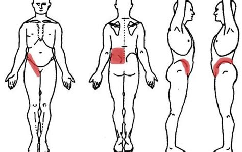 Groin is made of multiple ligaments, muscles, and tendons which fuse together in the pubic bone. diagram showing kidney pain can be felt in the lower back ...