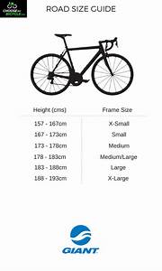 Giant Road Bike Size Chart