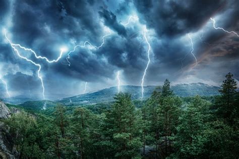 Why Lightning Strikes Are Killing So Many More Tall Trees In The