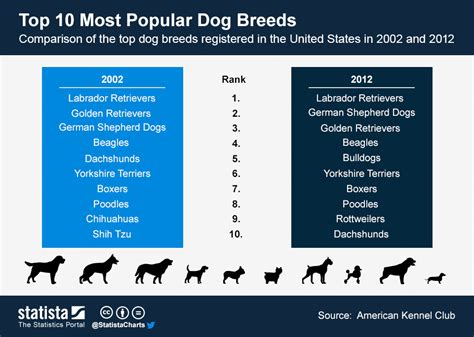 Chart Top 10 Most Popular Dog Breeds Statista