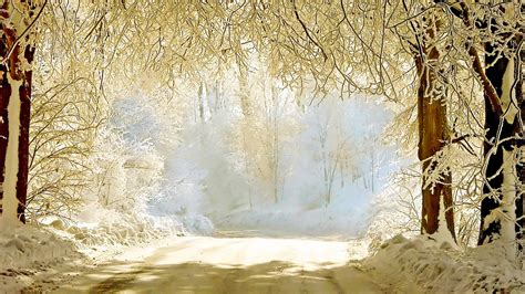 Snowy Road Winter Wallpaper 052 2560x1440 Wallpaper Hd Wallpaper
